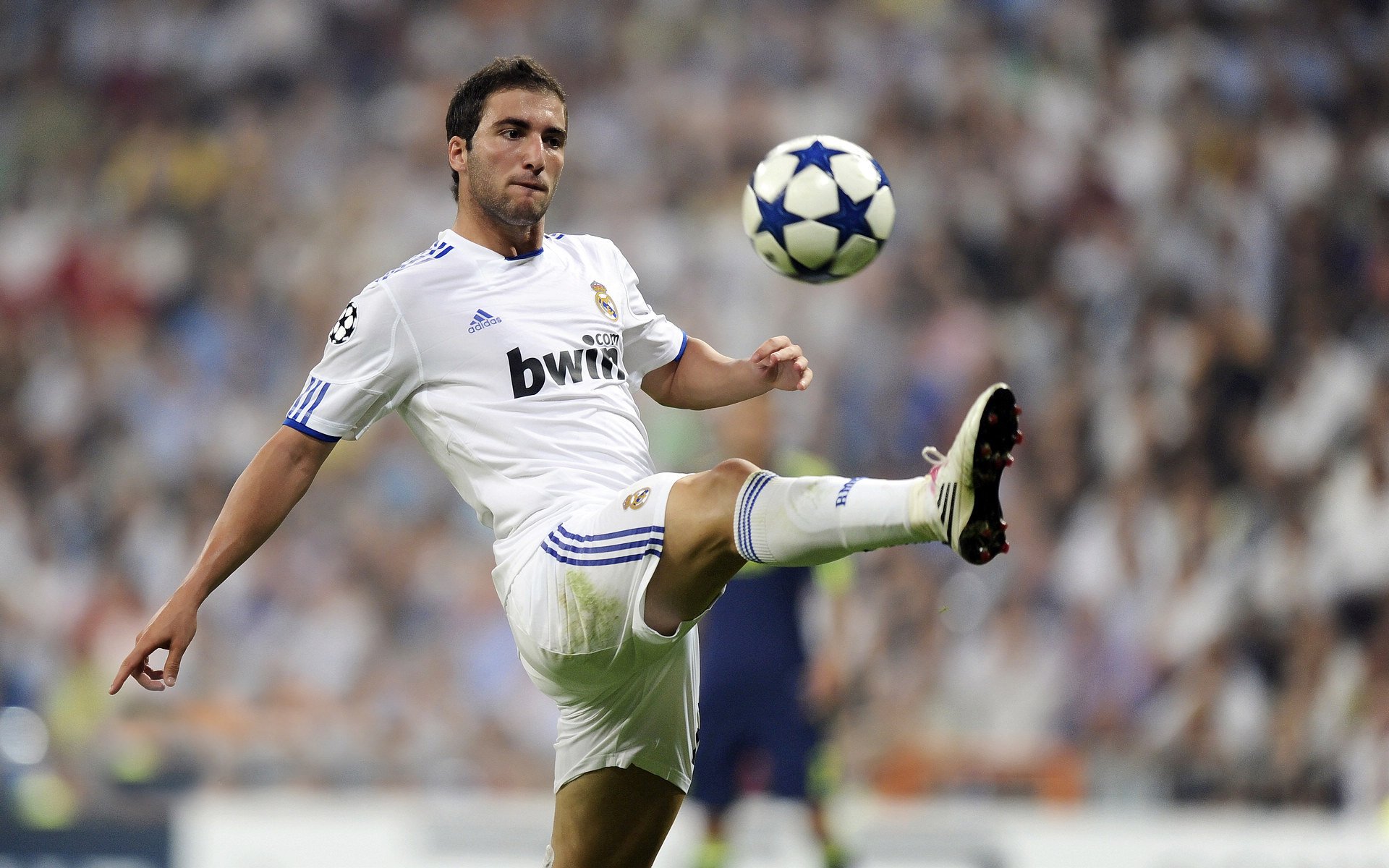 _凯尔特人攻防两端均衡，豪取连胜_，凯尔特人防守悍将